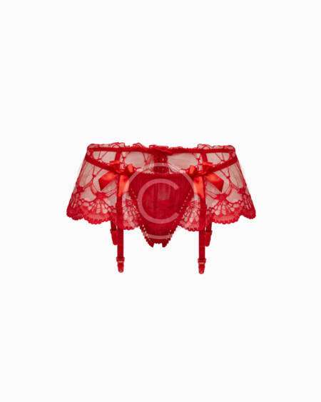 Red lace panties